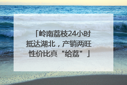 岭南荔枝24小时抵达湖北，产销两旺性价比真“给荔”